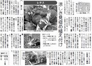 8面