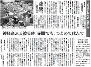 13面