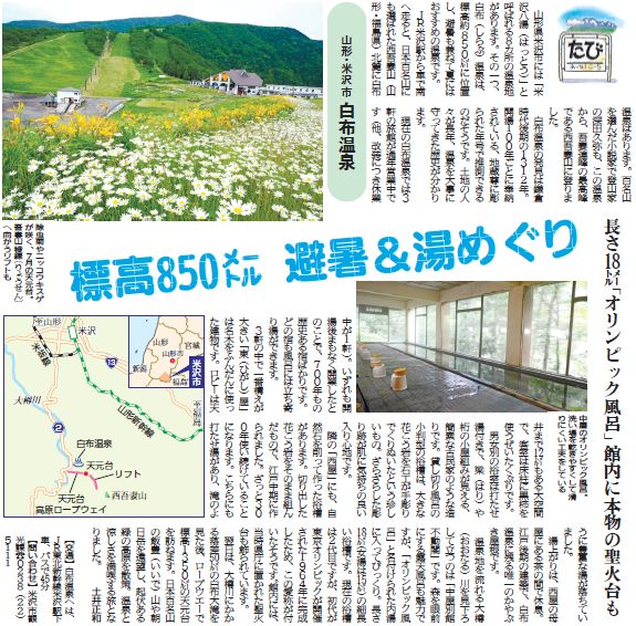19面