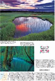 29面