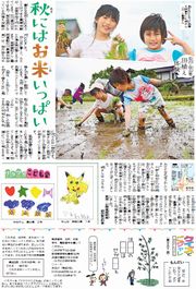 14面