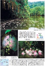 29面