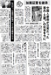 31面